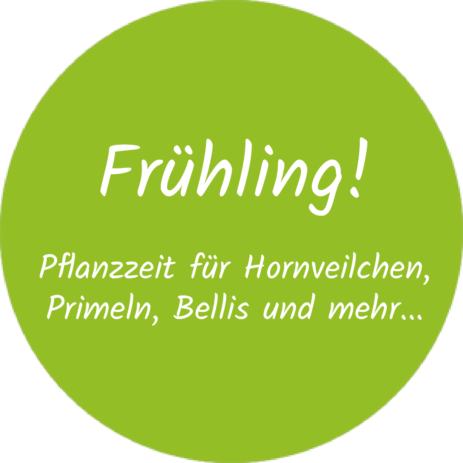 Button Frühling 2021